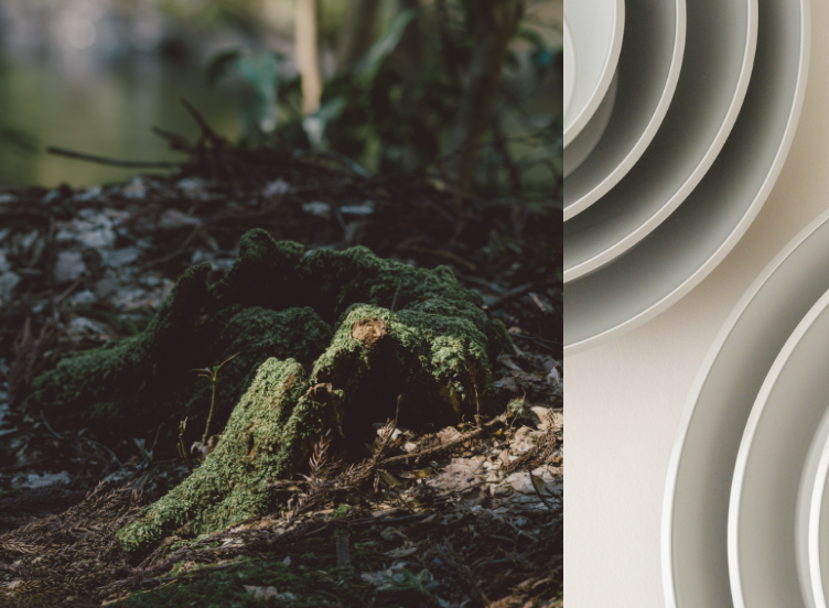 FEATURE イメージ